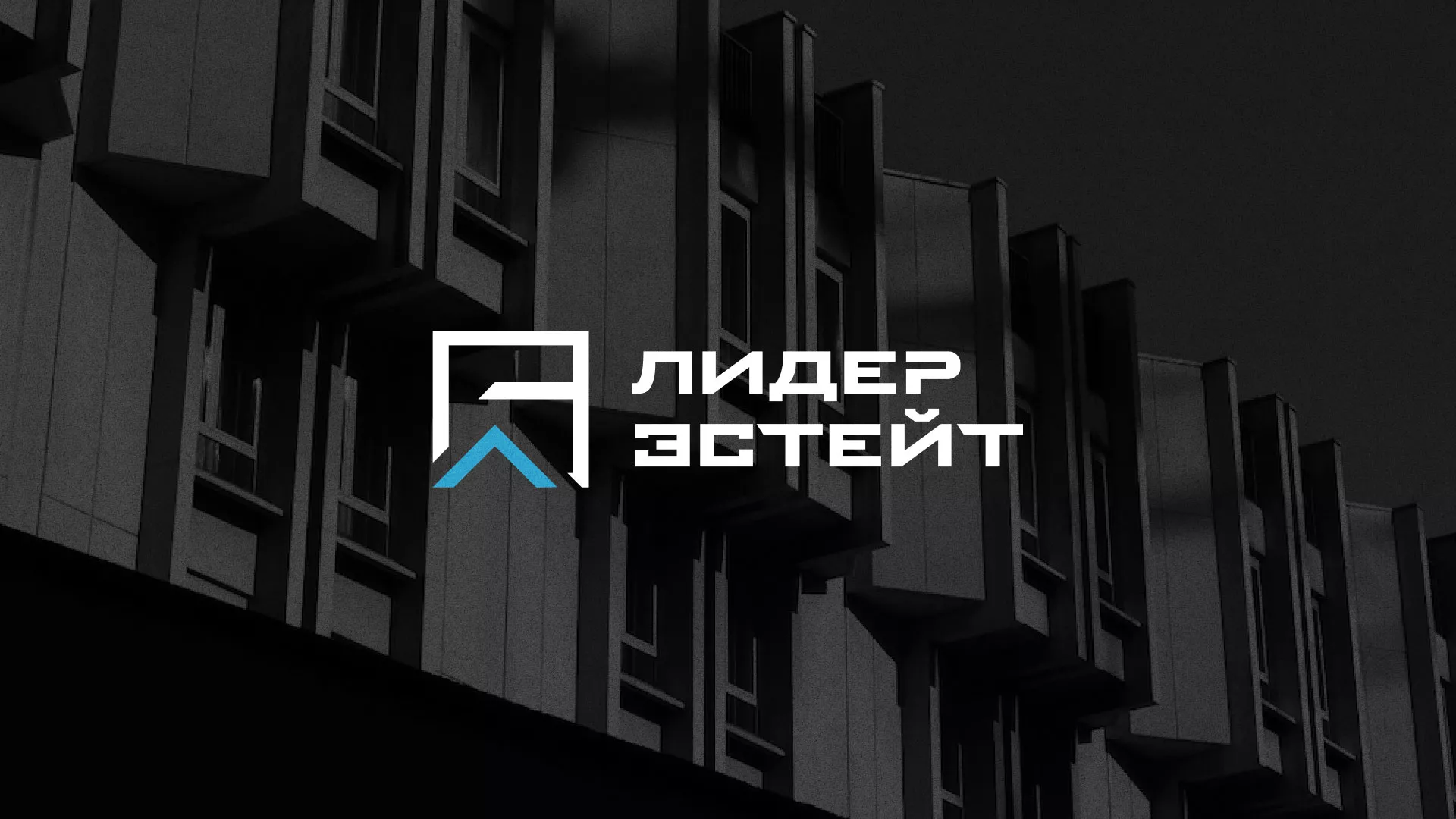 Разработка логотипа агентства недвижимости «Лидер Эстейт» в Дербенте